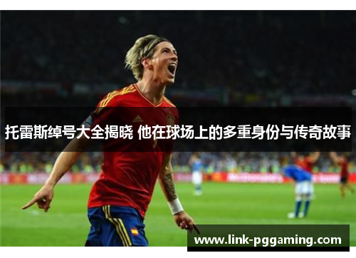 托雷斯绰号大全揭晓 他在球场上的多重身份与传奇故事 托雷斯绰号大全揭晓 他在球场上的多重身份与传奇故事